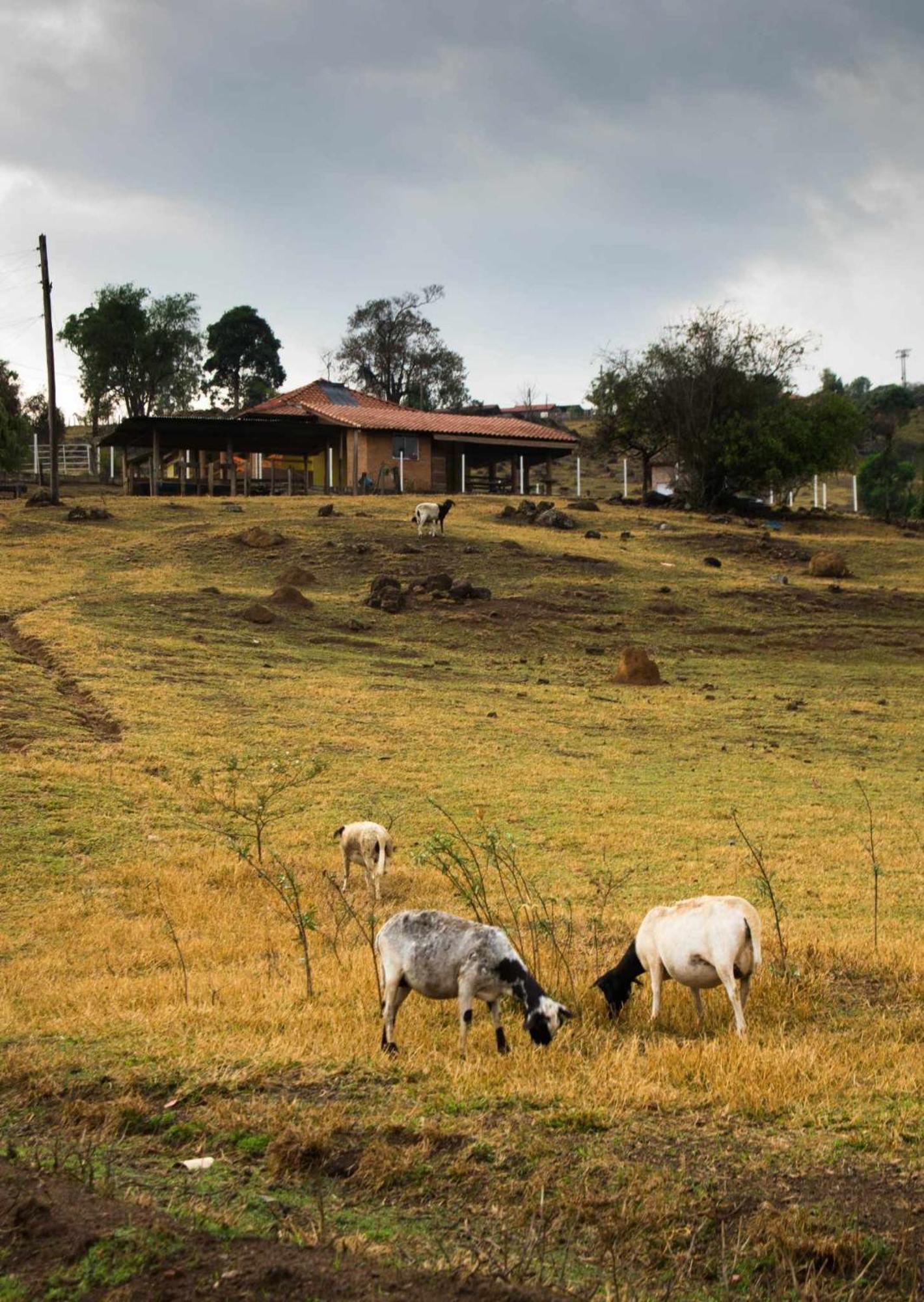Sitio No Interior De Sp Para Curtir A Natureza Águas da Prata Eksteriør billede